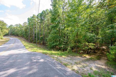 00 DEER RUN ROAD 00 ALABASTER AL 35007