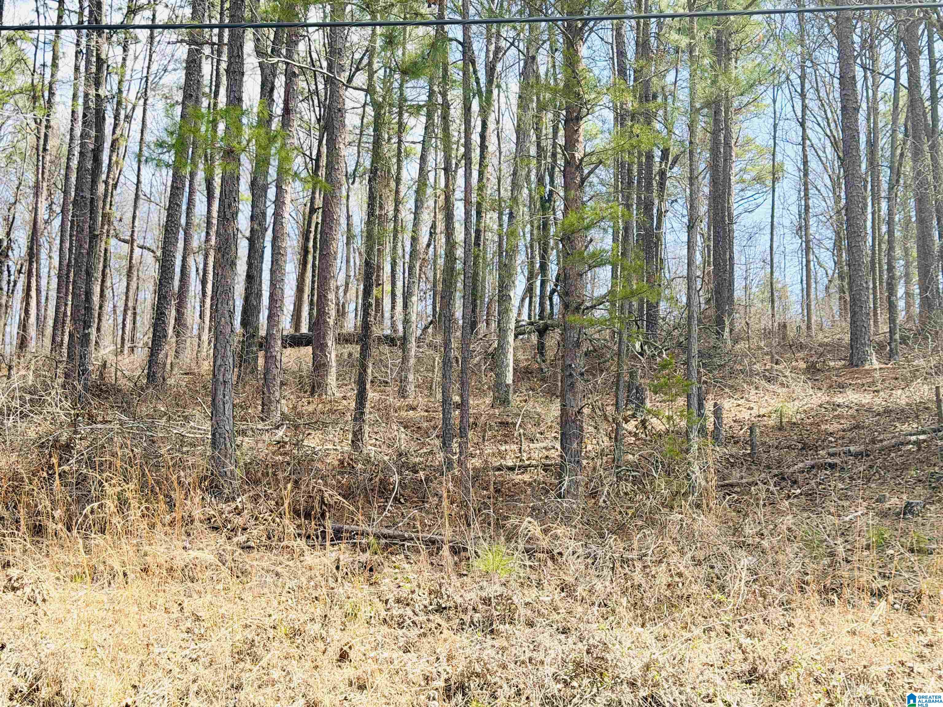 0 SOUTHMOOR CIRCLE 4, 5A, 7, 8, 12A, & 13A