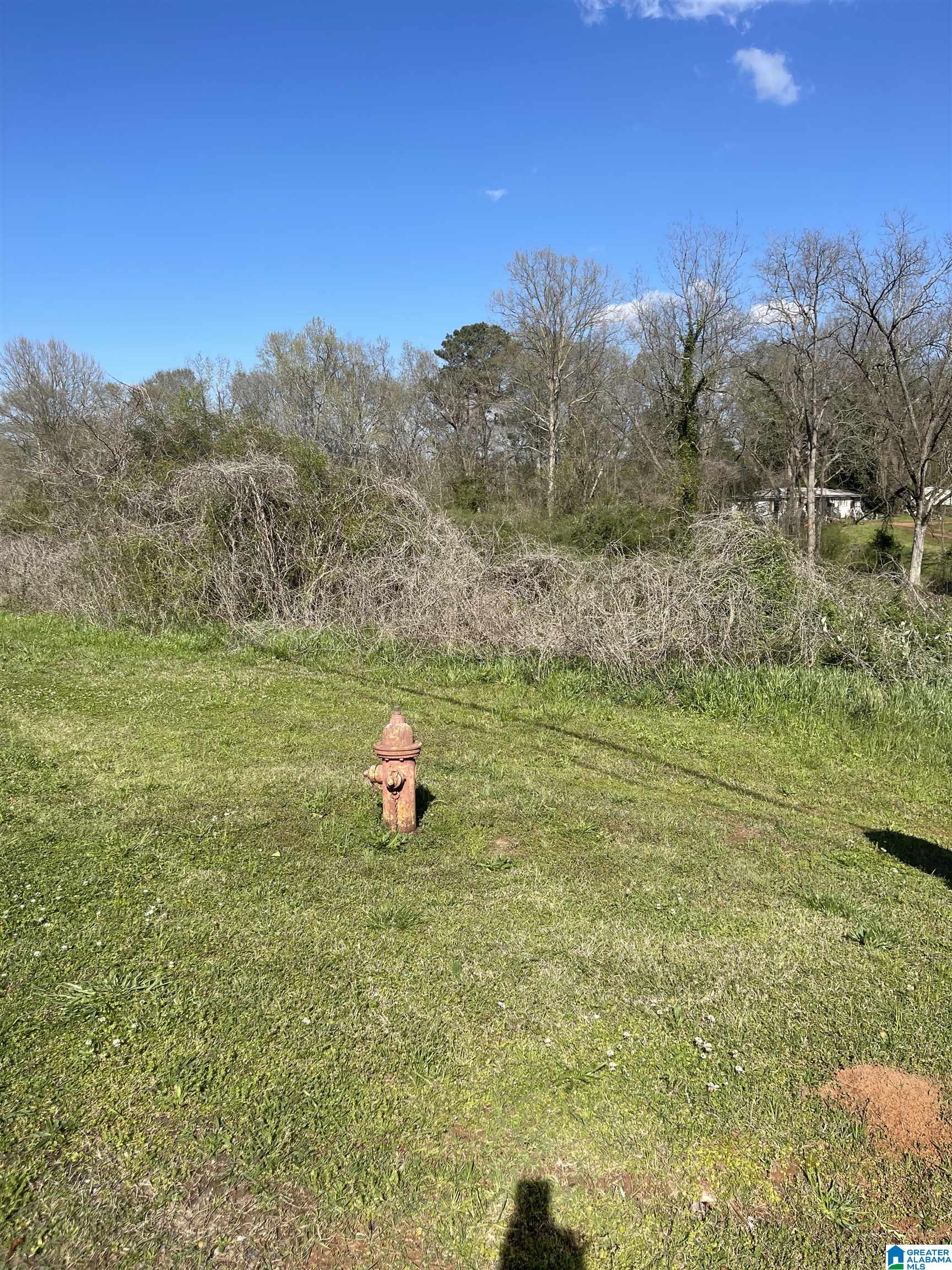 Photo 1 of 4 — 0 FRANKLIN ROAD 1, ROANOKE, AL 36274
