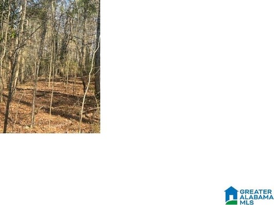 50 ALPINE RANCH RD, ALPINE, AL 35014 - Image d6bbee88c16d1d5b76e2ad78edbf10ff/2246200240