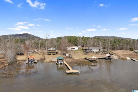 182 ODONNELL ROAD ASHVILLE AL 35953