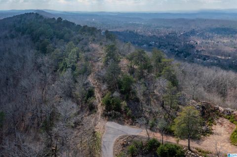 3459 SPRINGSTONE TRAIL LOT 2 LEEDS AL 35094