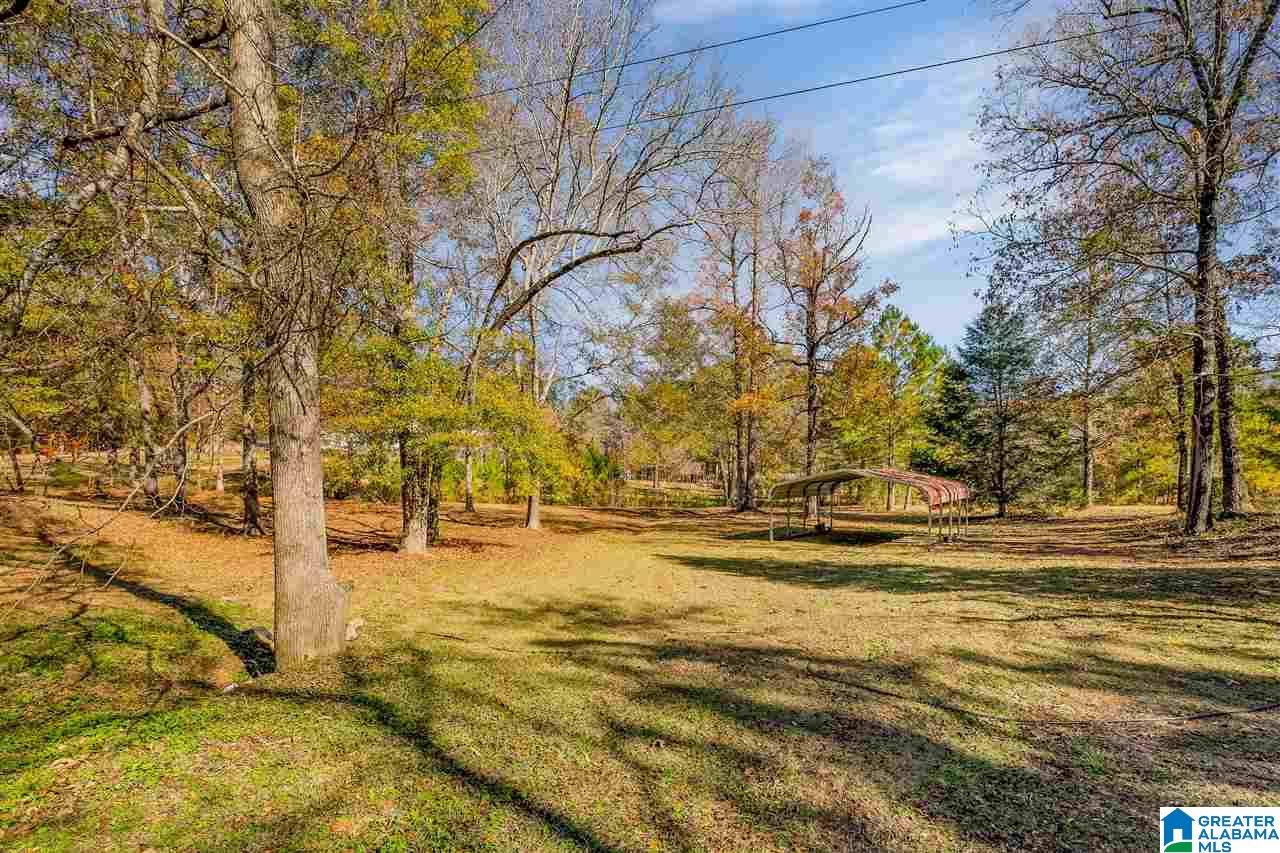 280 WOOD RIVER LANE