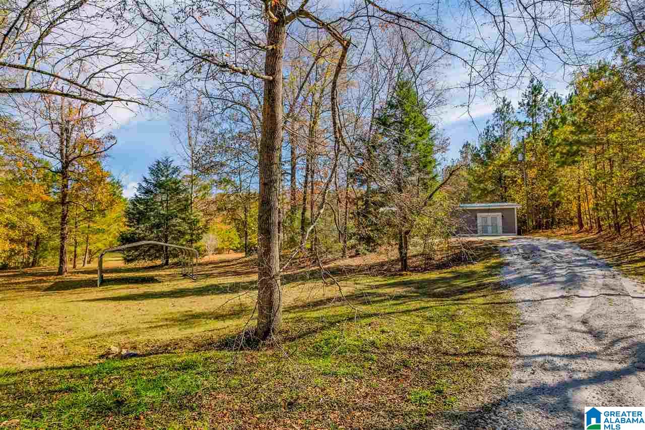 280 WOOD RIVER LANE