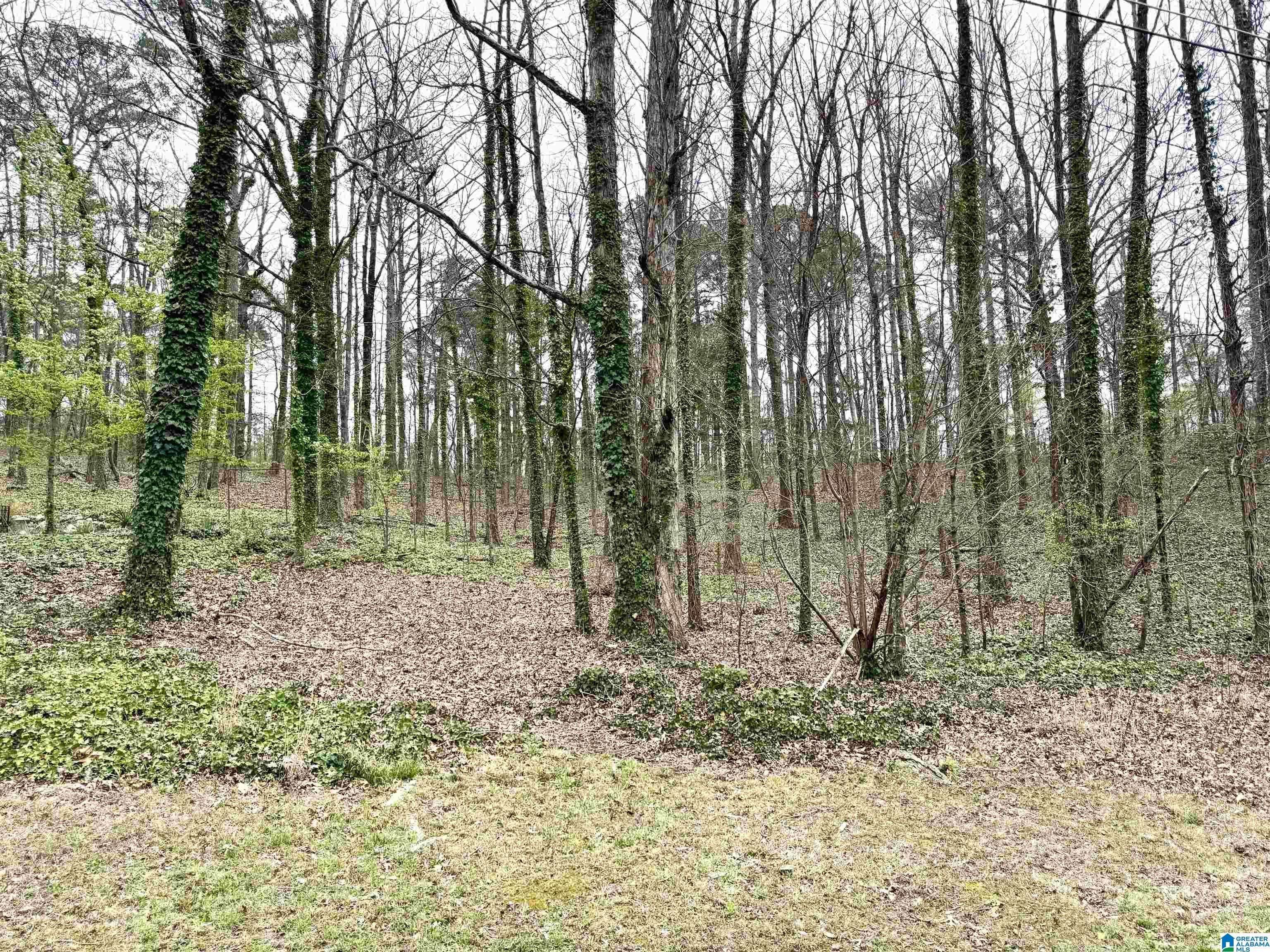 2615 3RD STREET NE 27