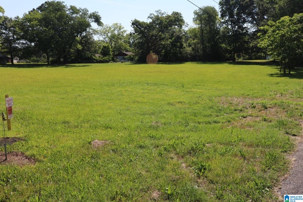 5064 BIRMINGPORT RD # 000, SYLVAN SPRINGS, AL 35118 - Image d76cb50a5f23e73e9bf8a1e53ff0413a/22316868