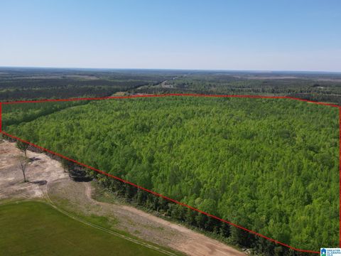160 Acres COUNTY ROAD 73 2000-3000 RANDOLPH AL 36792