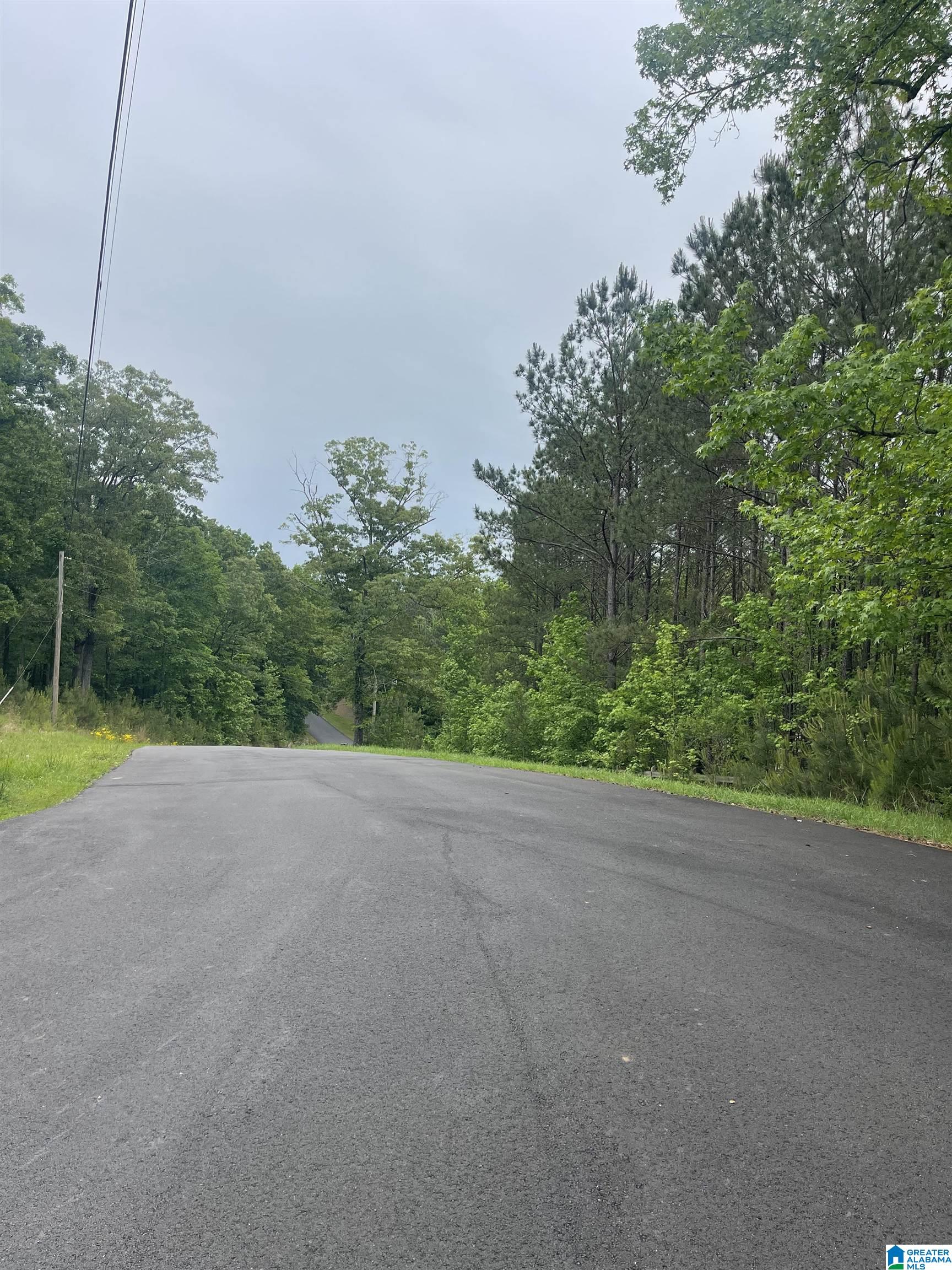 65 DOGWOOD DRIVE 2