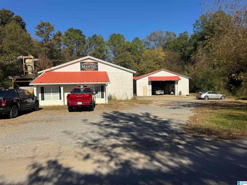 65 ANGUS STREET TRUSSVILLE AL 35173