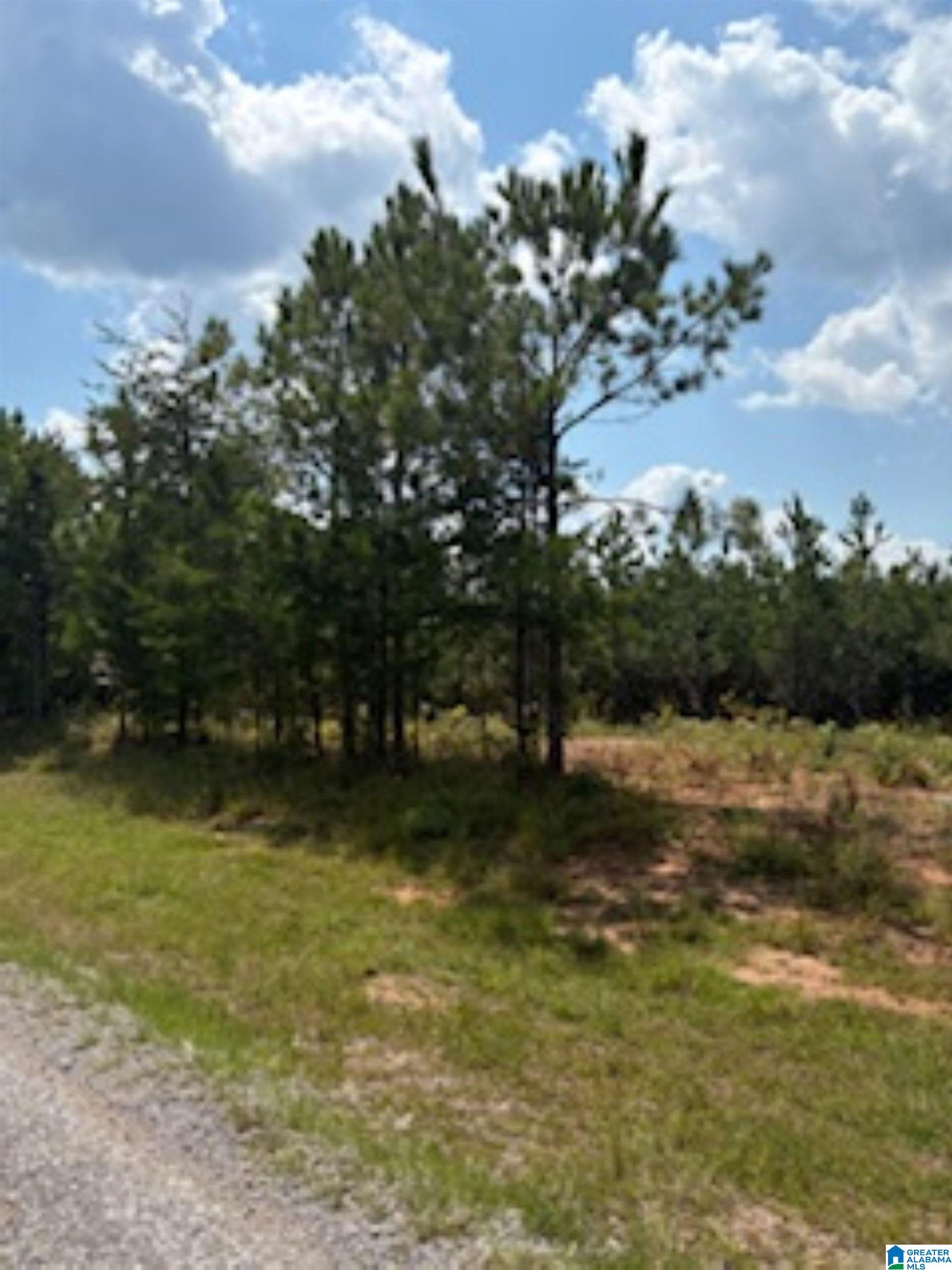COUNTY ROAD 472 1 - Photo 4