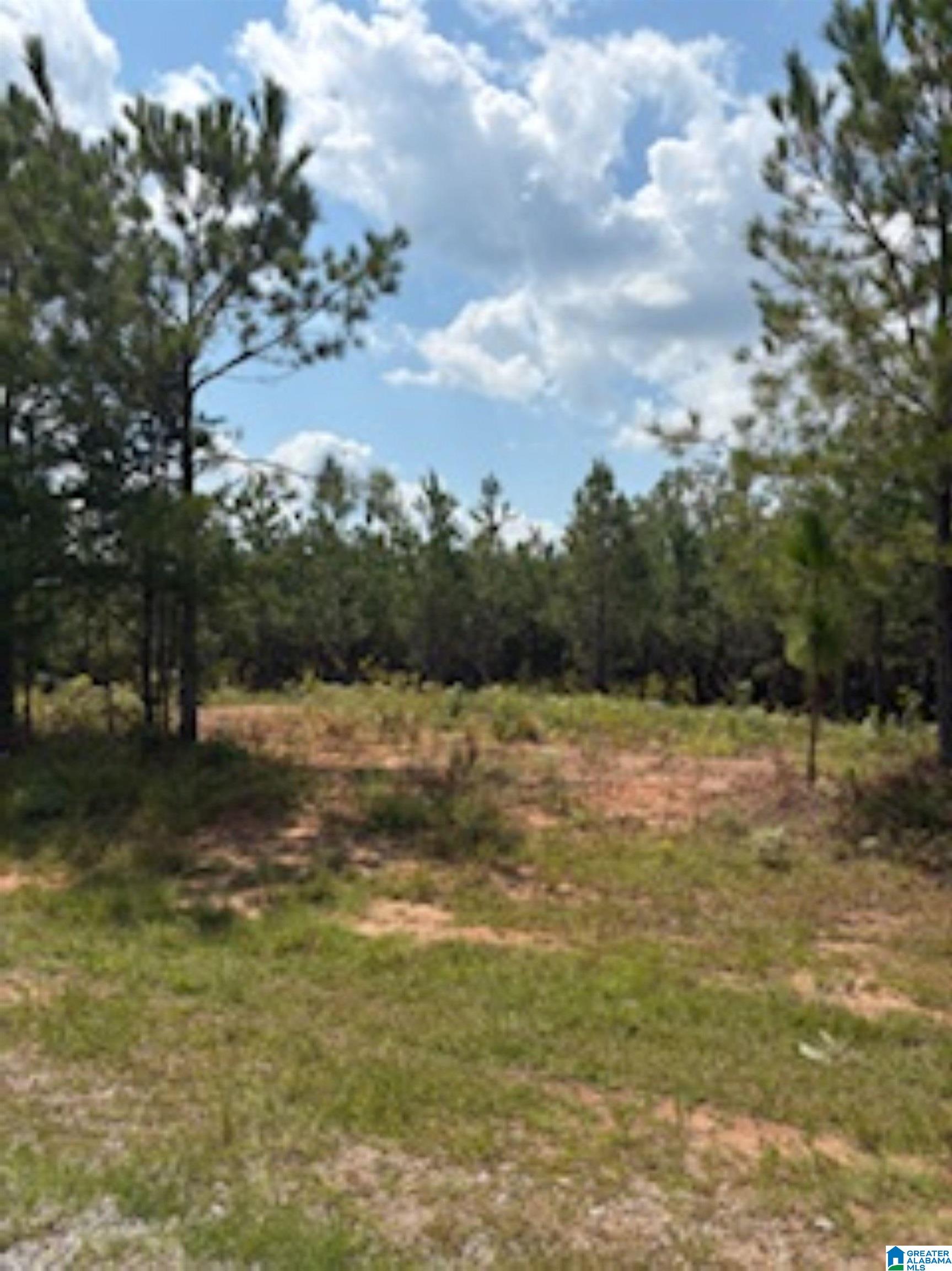 COUNTY ROAD 472 1 - Photo 2