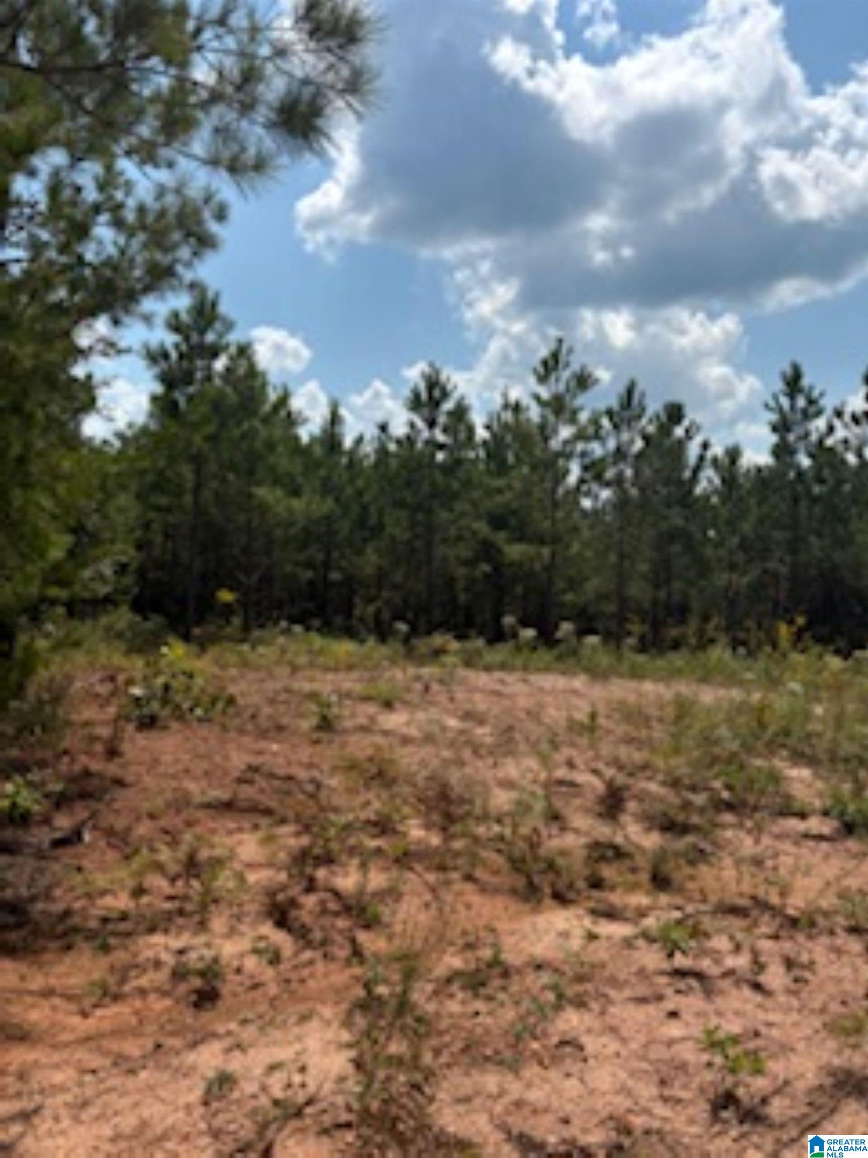 COUNTY ROAD 472 1 - Photo 3