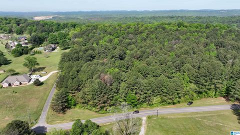 0 JAMES TAYLOR ROAD 2.23+/- aCRES MOODY AL 35004