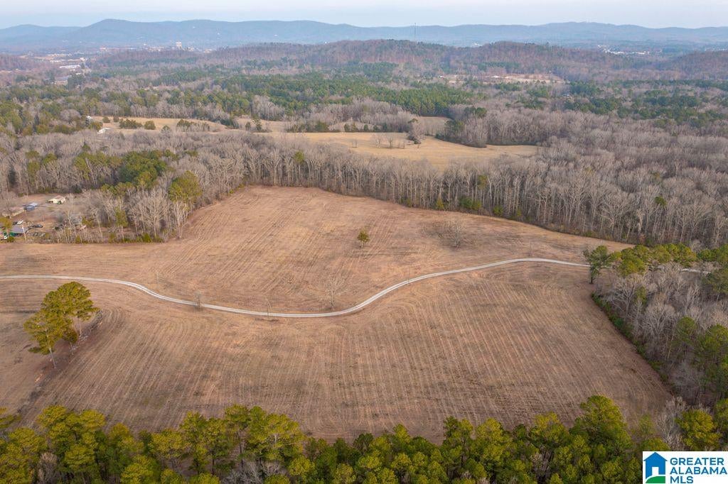 LOT 8 CEDAR SPRINGS DRIVE LOT 8