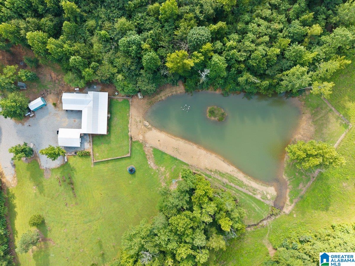Photo 1 of 44 — 1115 MOUNTAIN GAP ROAD, BLOUNTSVILLE, AL 35031