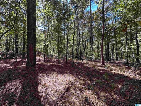 100 COUNTRY MANOR DRIVE 1 STERRETT AL 35147