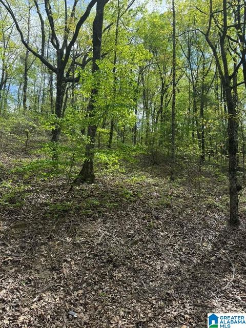 VICKI DRIVE 13 LAKEVIEW AL 35111