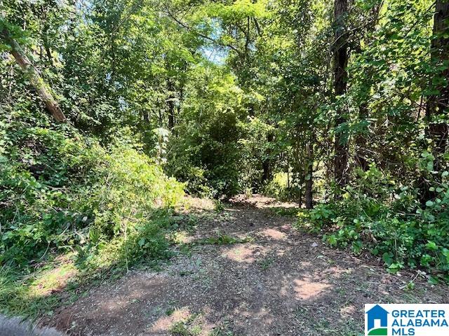 Photo 1 of 8 — 218 CHESTNUT FOREST CIRCLE 32, HELENA, AL 35080