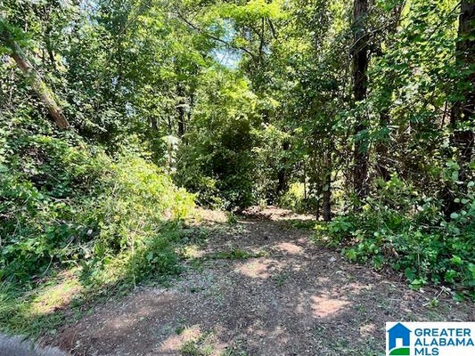 218 CHESTNUT FOREST DR # 32, HELENA, AL 35080 - Image db2bfa76d5c17bf9b316a11705b49cd6/3318544708