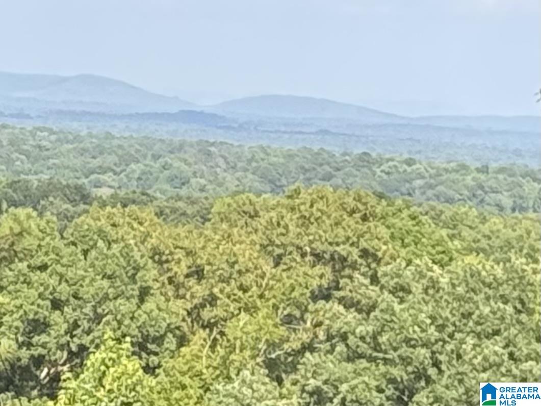 Photo 1 of 28 — 345 COUNTY ROAD 467, VINCENT, AL 35178