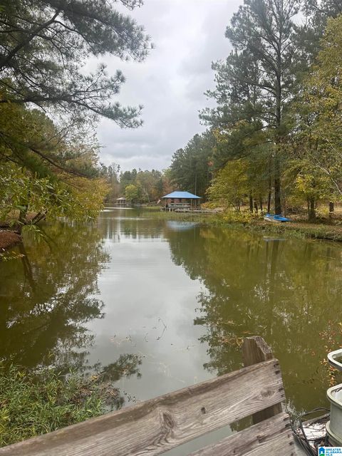 371 SAGEBRUSH ROAD ASHVILLE AL 35953