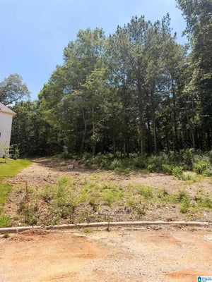248 MOUNTAIN LAKE TRL # 22, ALABASTER, AL 35007 - Image dc2b7ee9964bfbd38e4e0df213838fc6/3010855511