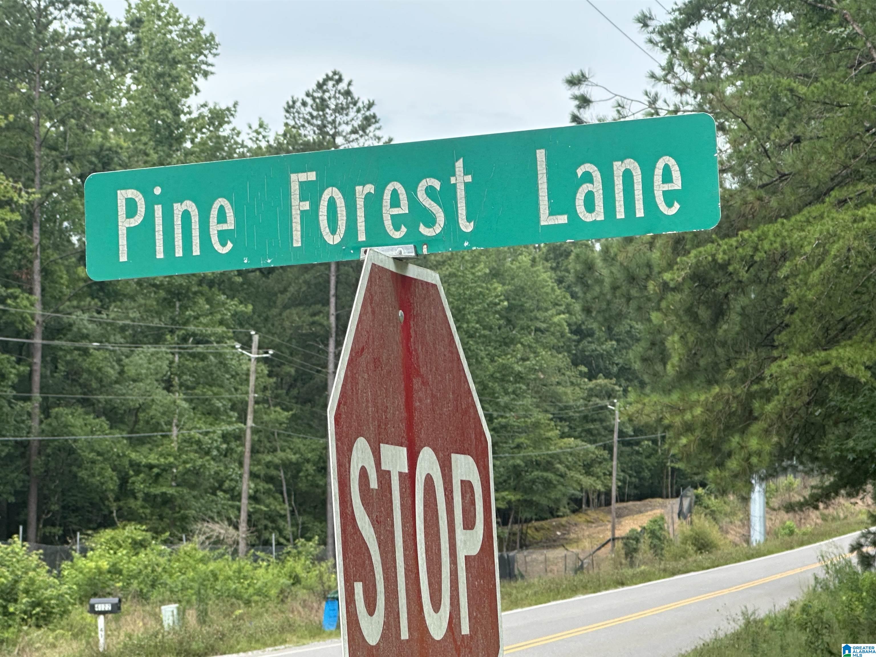 PINE VIEW DRIVE 8