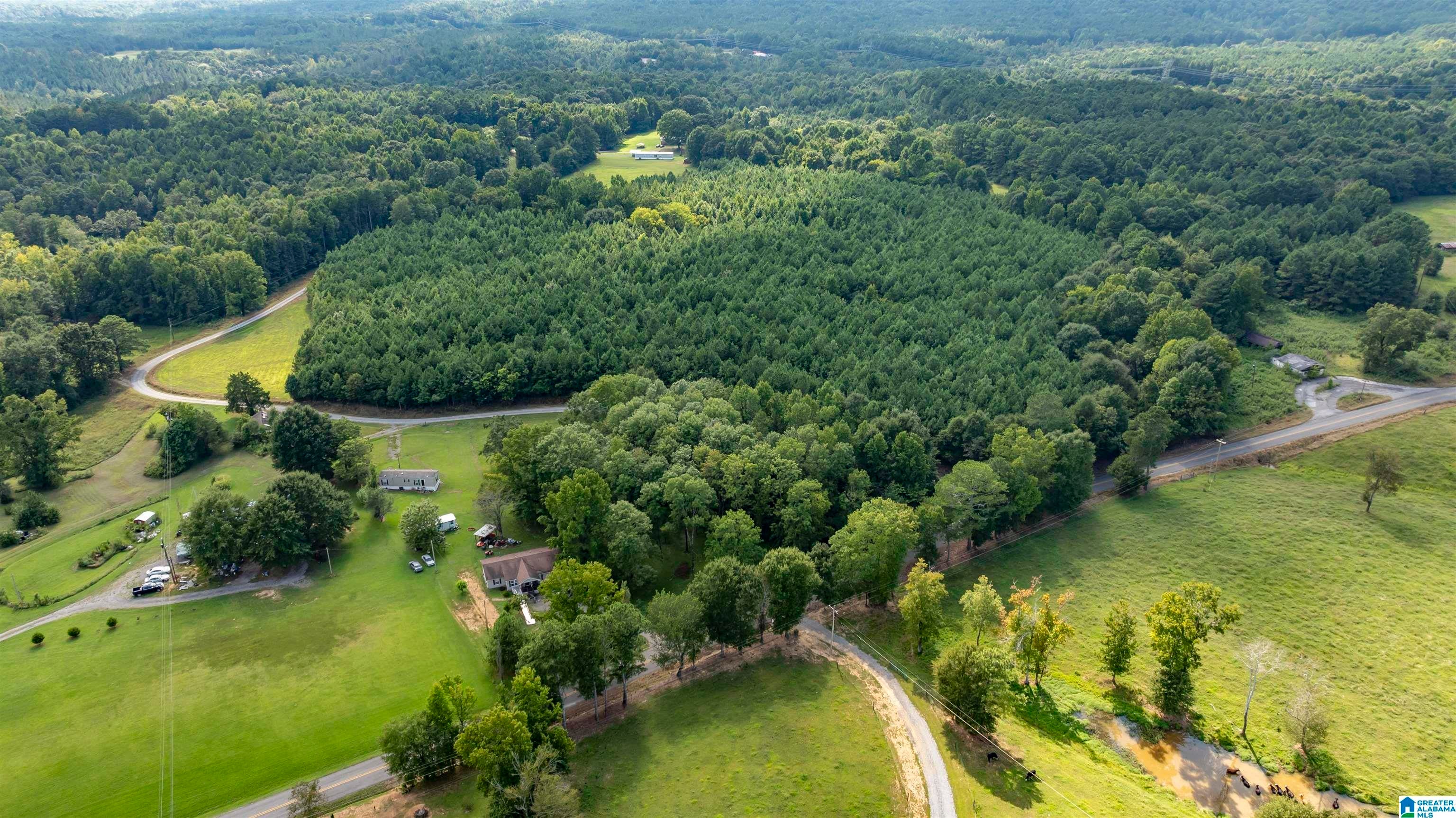 0 COUNTY ROAD 39 40 ac.