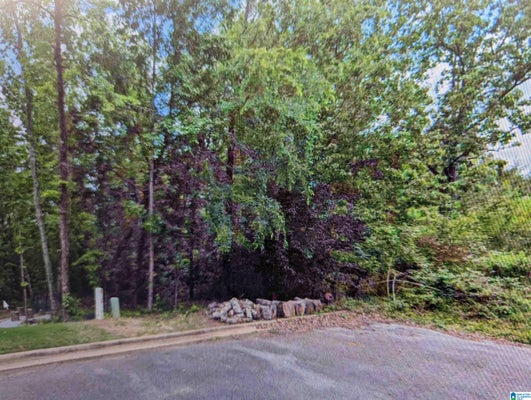 173 JONAGOLD RD # 30, HELENA, AL 35080 - Image dcf45676e133050f12b0c19a6adc9bb9/4707894