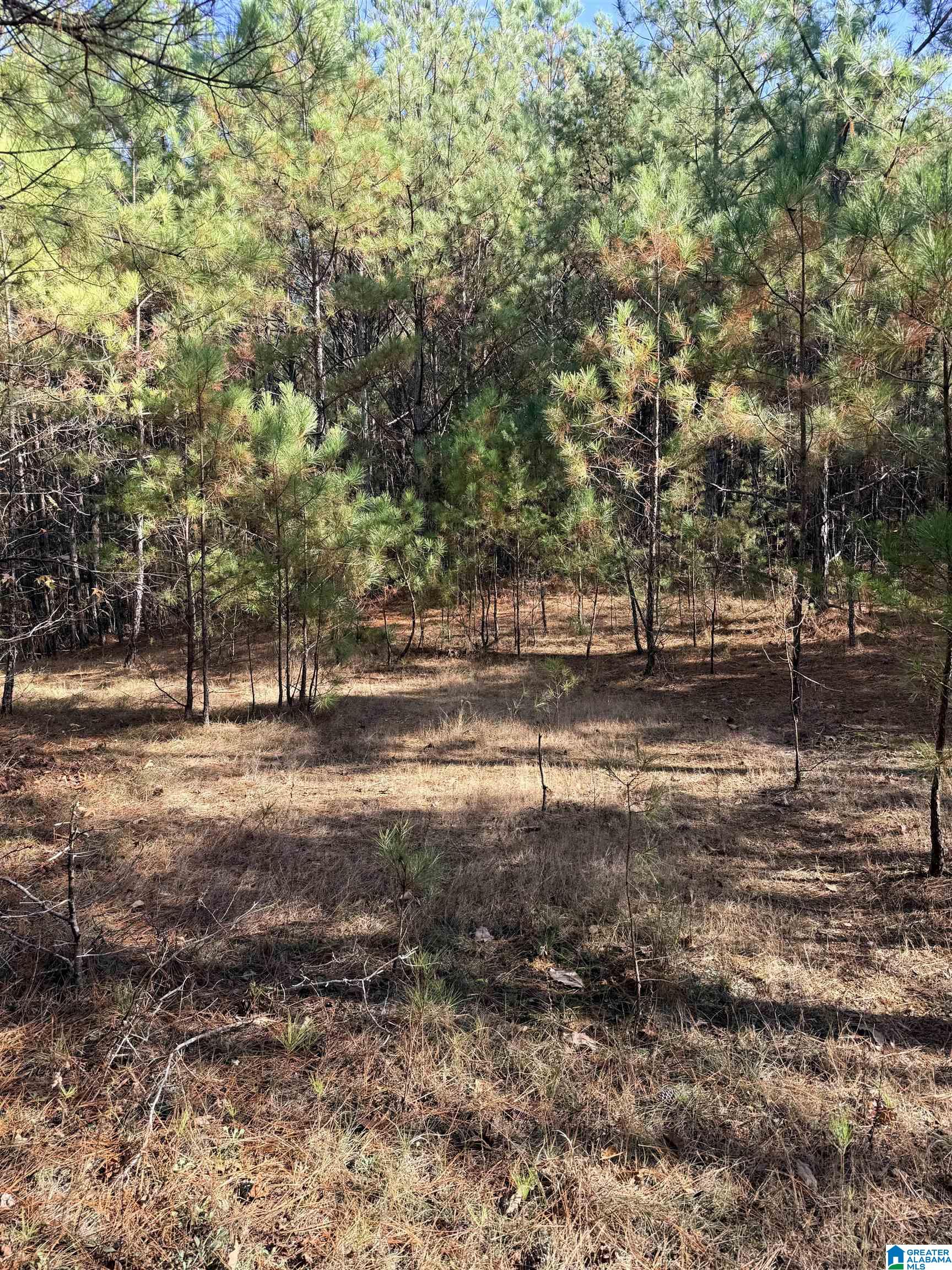 9400 BRADFORD TRAFFORD ROAD 37