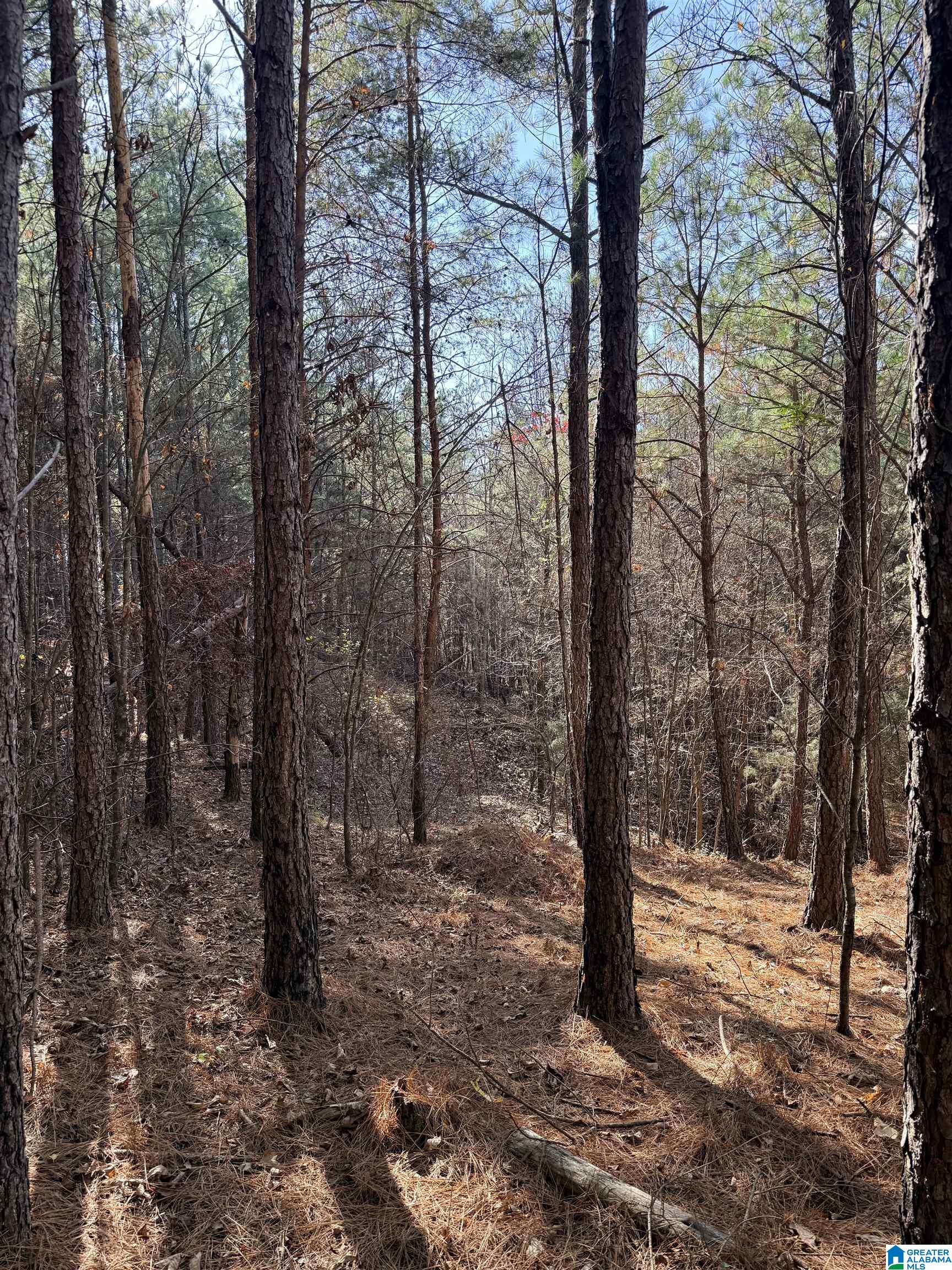 9400 BRADFORD TRAFFORD ROAD 37