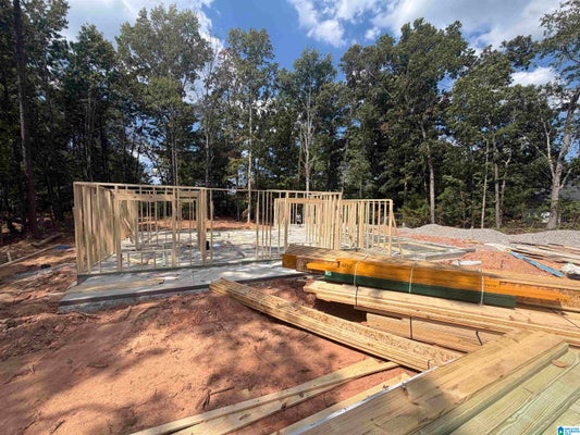 12764 EDGEWOOD DR, LAKE VIEW, AL 35111 - Image de5dca5016f58b07fa9b2cdcf6572516/3191468384