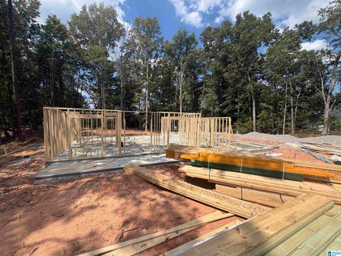 Photo of 12764 Edgewood Drive, LAKEVIEW, AL 35111 (MLS # 21465073)