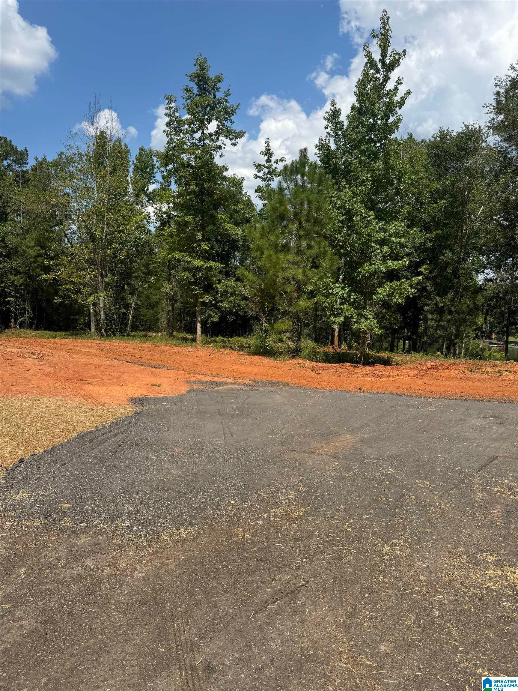 Lot13 Cam's Cov OLD HIGHWAY 431 Lot 13