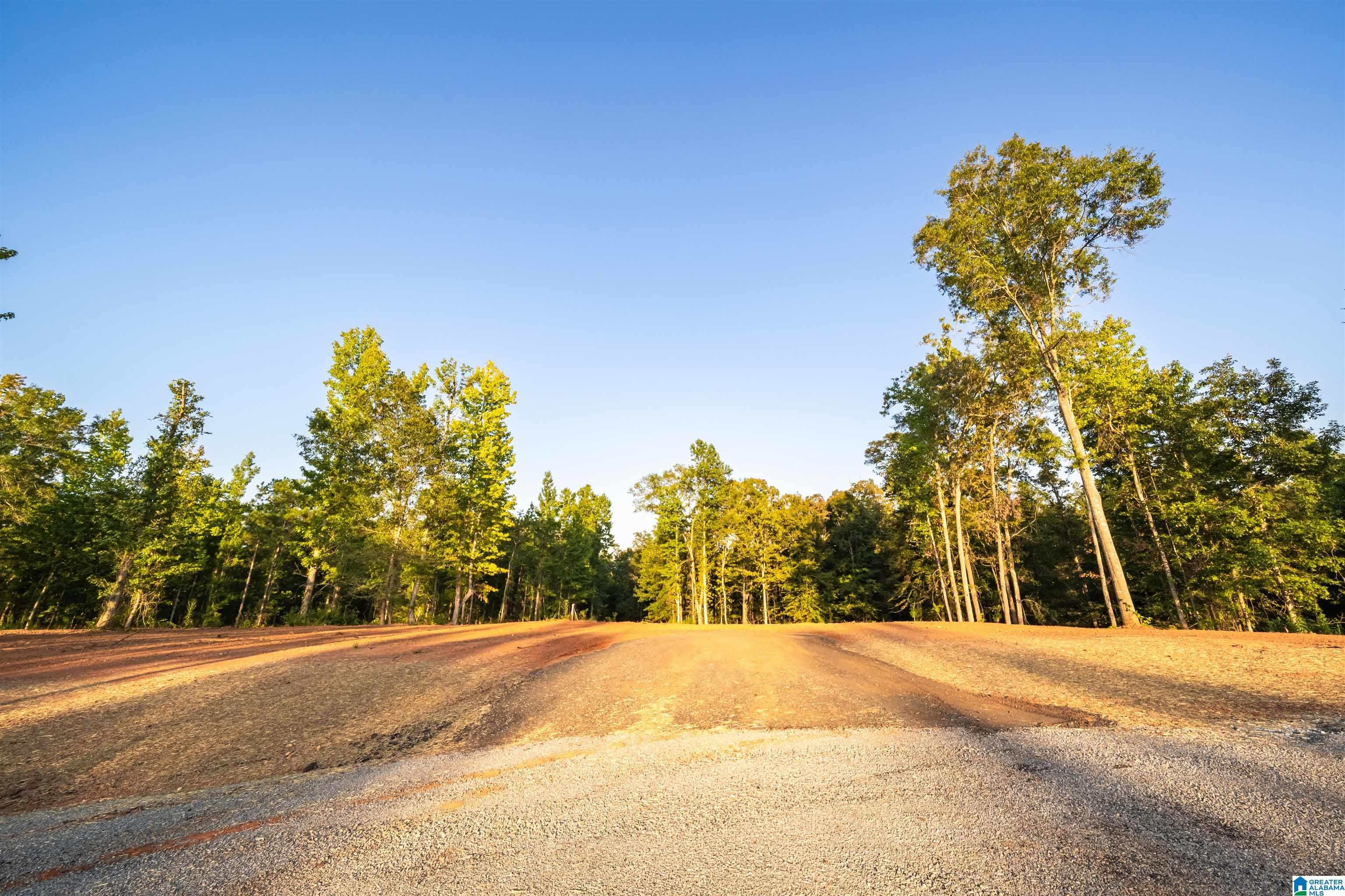 Lot13 Cam's Cov OLD HIGHWAY 431 Lot 13