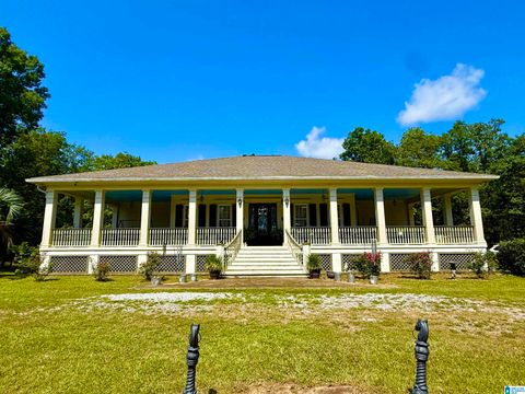 2801 LITTLE RIVER LANE BRIERFIELD AL 35035