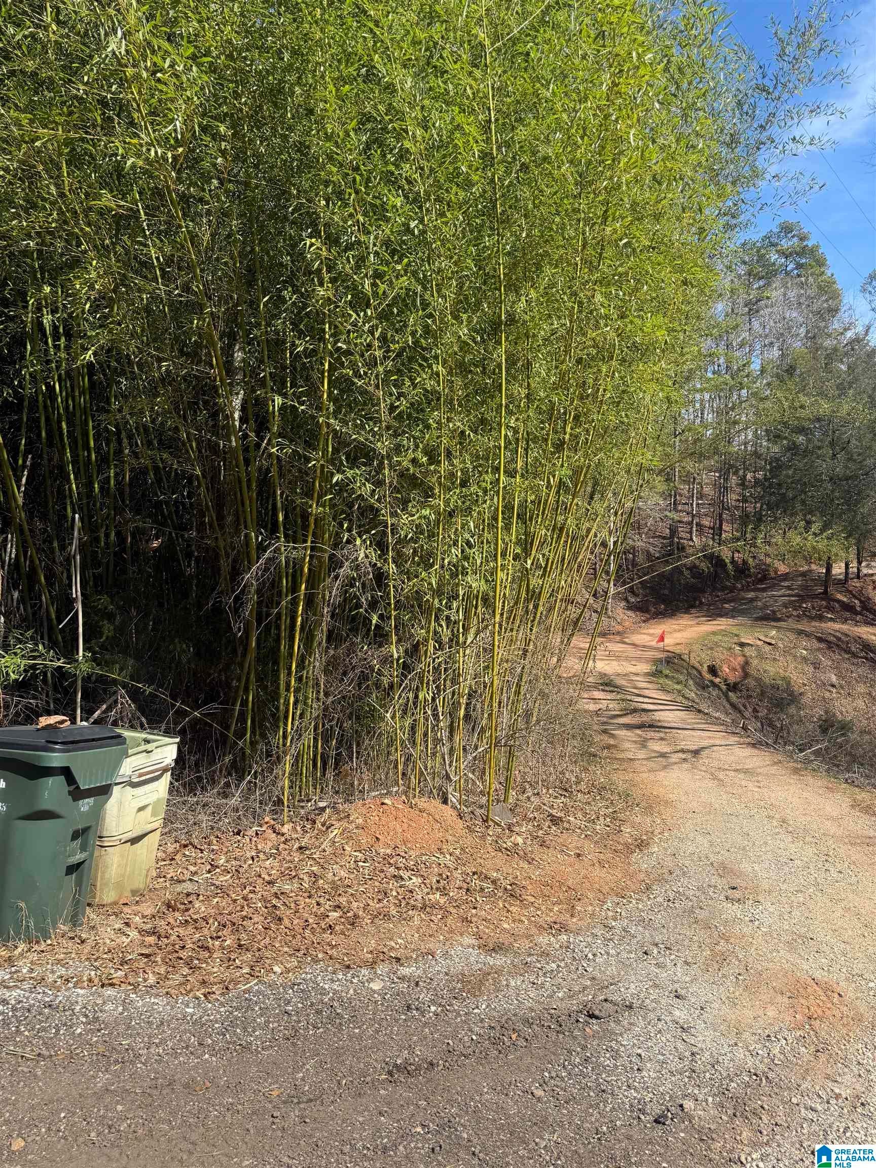 0 COUNTY ROAD 264 12