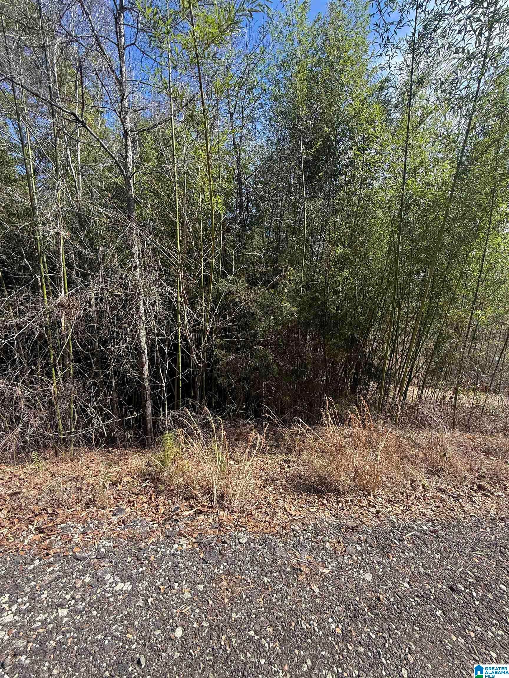 0 COUNTY ROAD 264 12