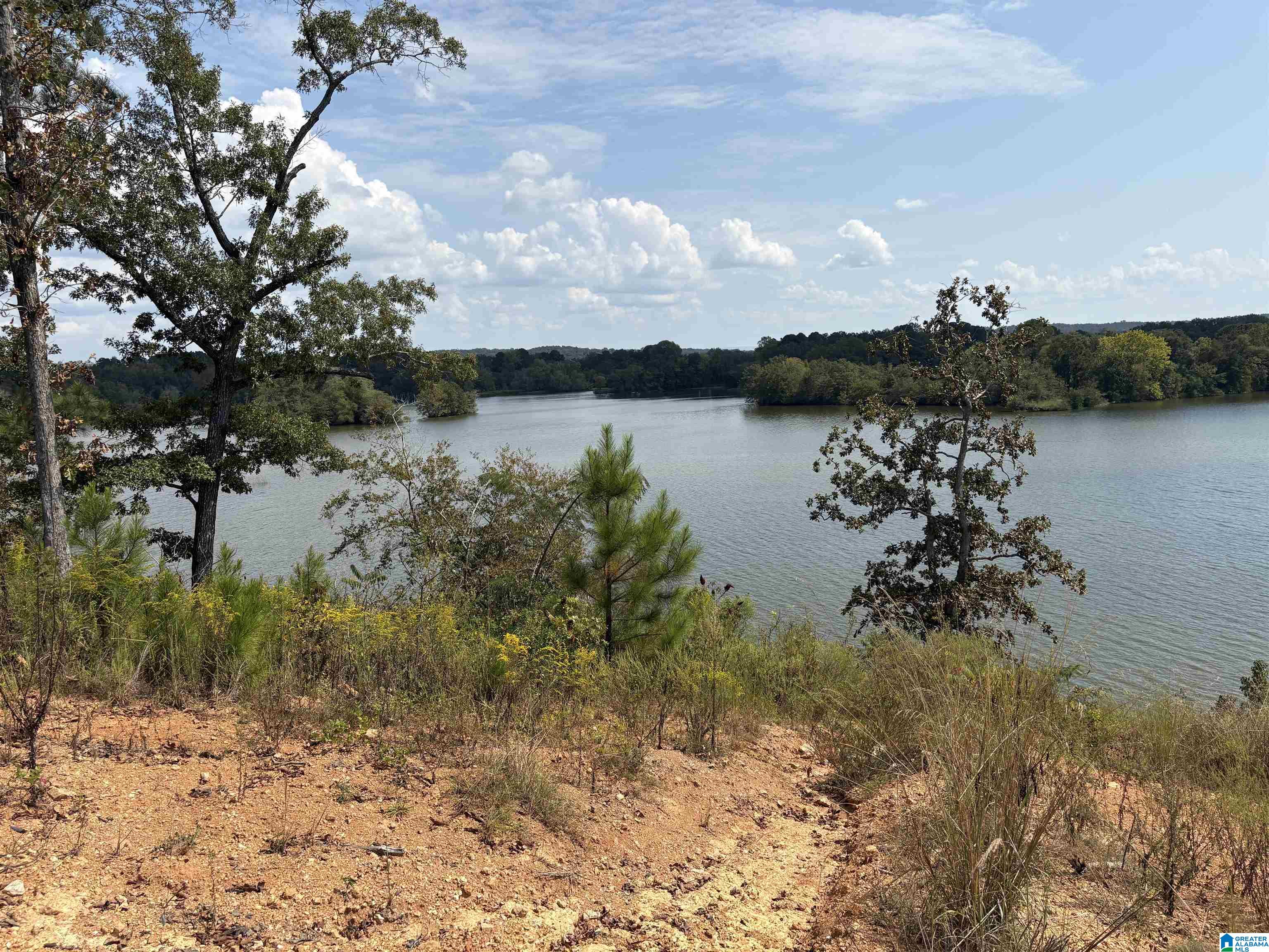 LAKE POINTE DRIVE 306 - Photo 2