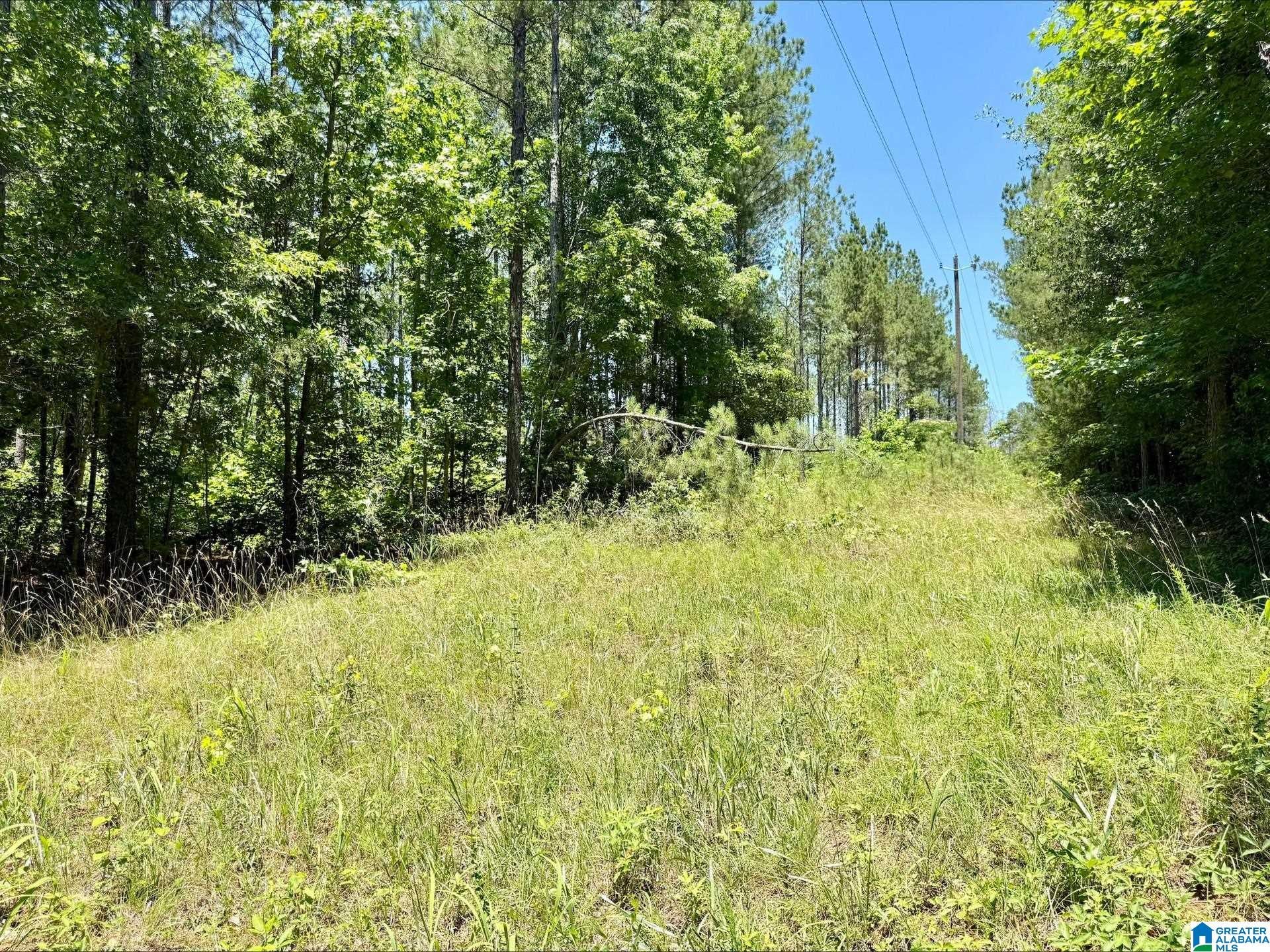 0 COUNTY ROAD 82 15 Acres