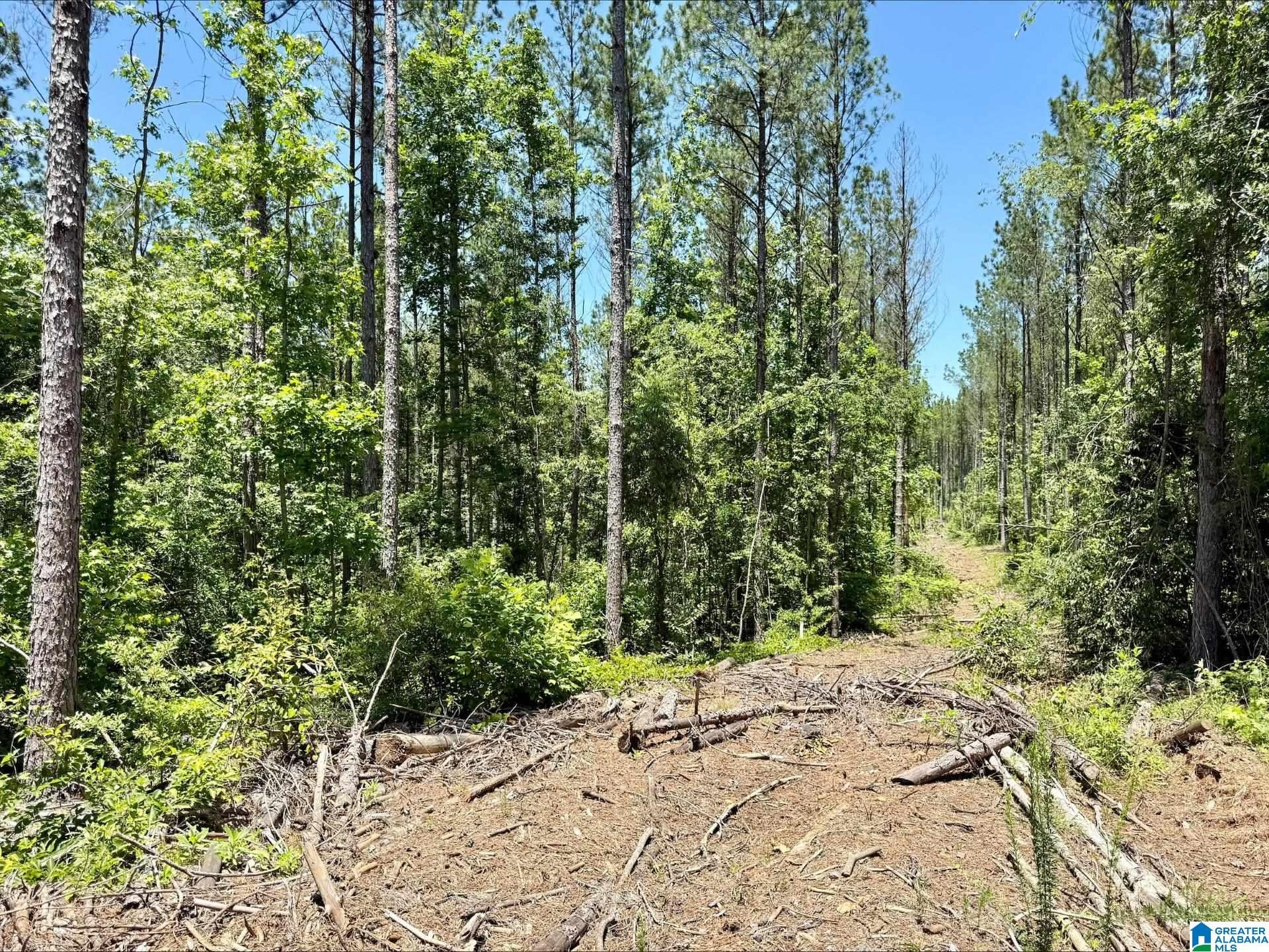 0 COUNTY ROAD 82 15 Acres