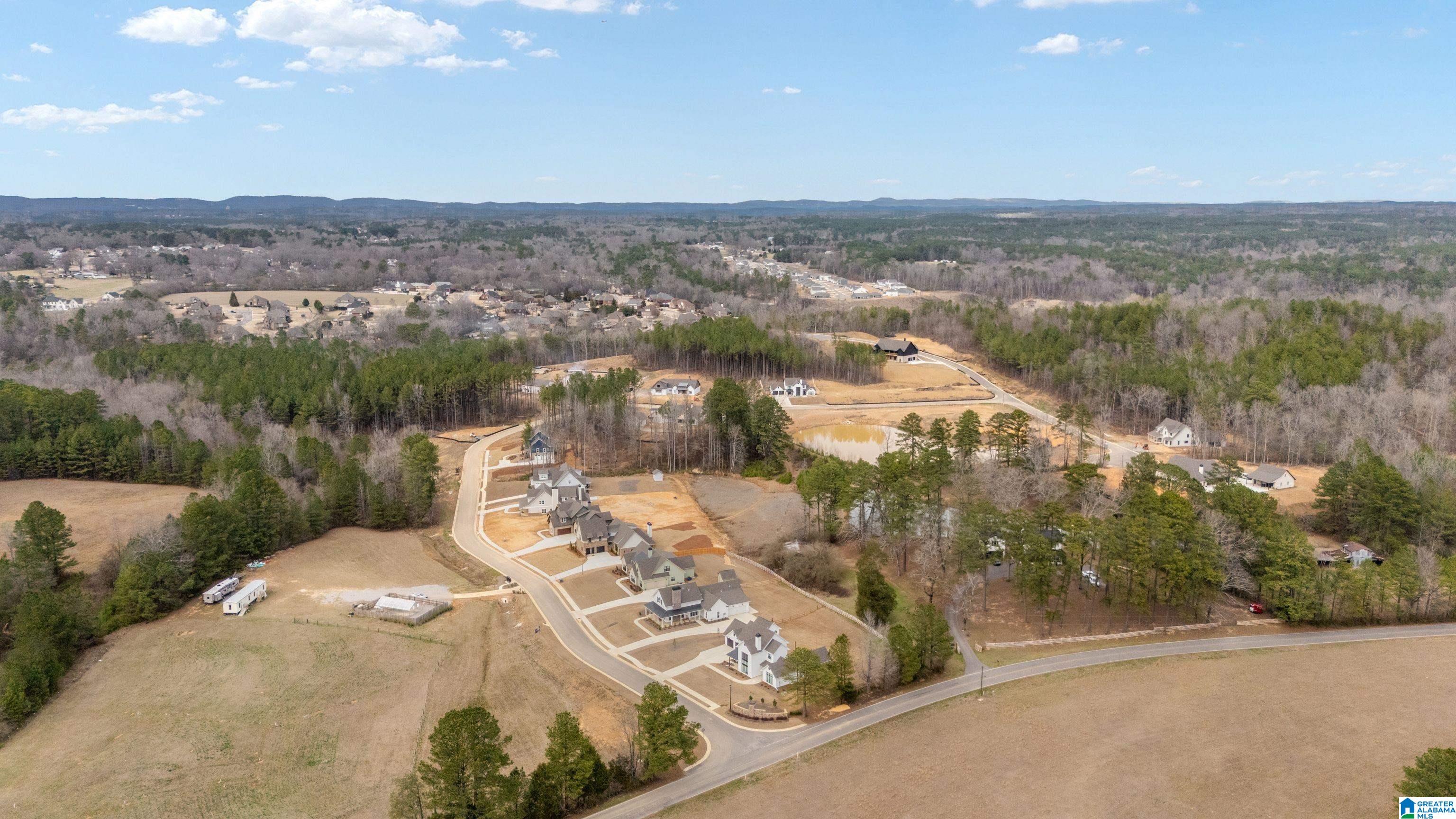 7903 BRAE VILLAGE DRIVE 39