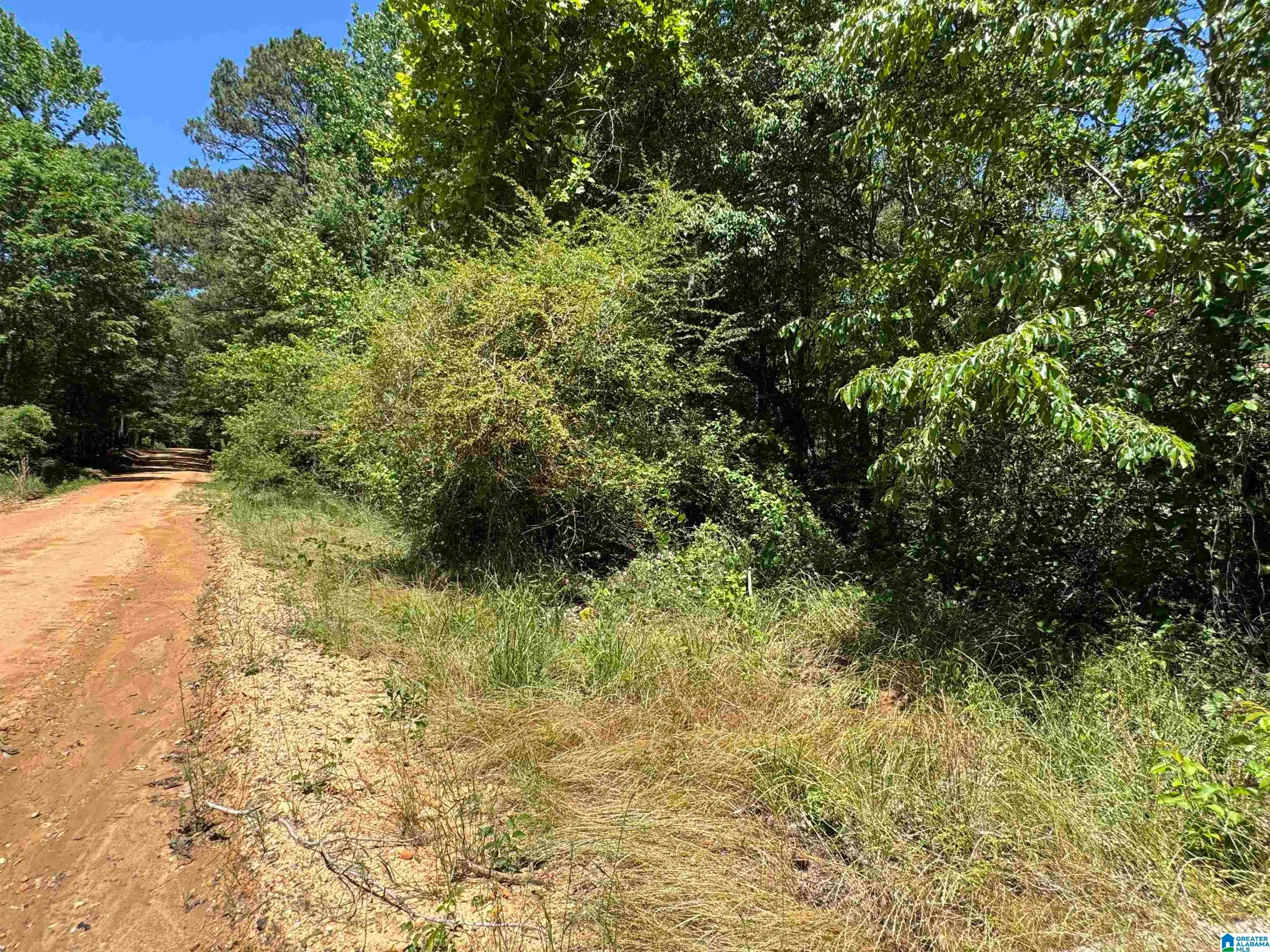 ACTIVE ROAD 1 and 2
