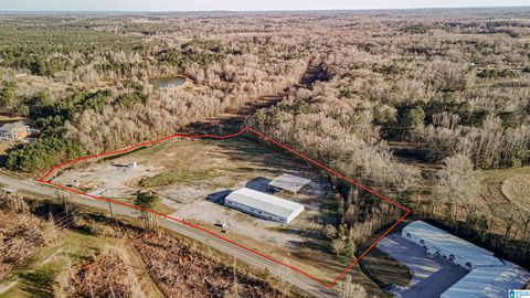 10000 COUNTY ROAD 42 JEMISON AL 35085