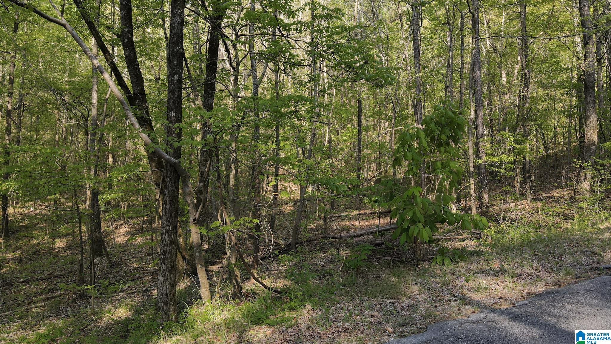 Photo 1 of 8 — 0 COUNTRY ROAD 818,819,821, WARRIOR, AL 35180