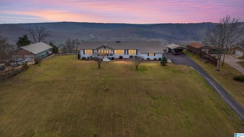 535 GRANDVIEW TRAIL WARRIOR AL 35180