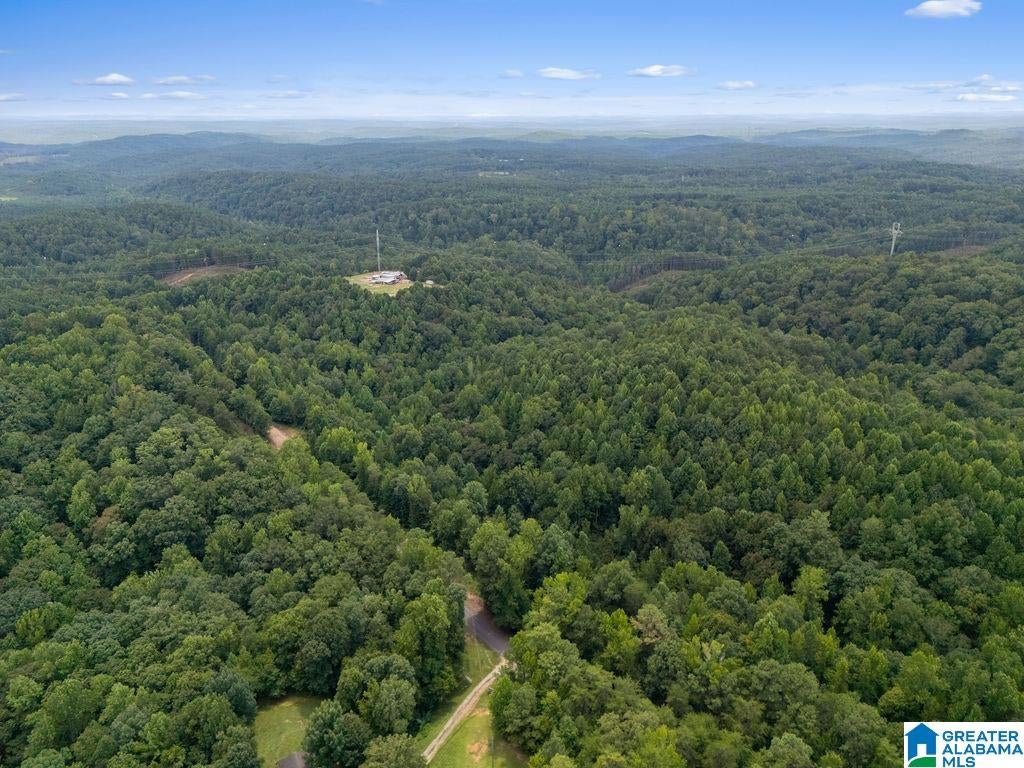 1014 PUMPKIN CENTER CUT OFF ROAD 0