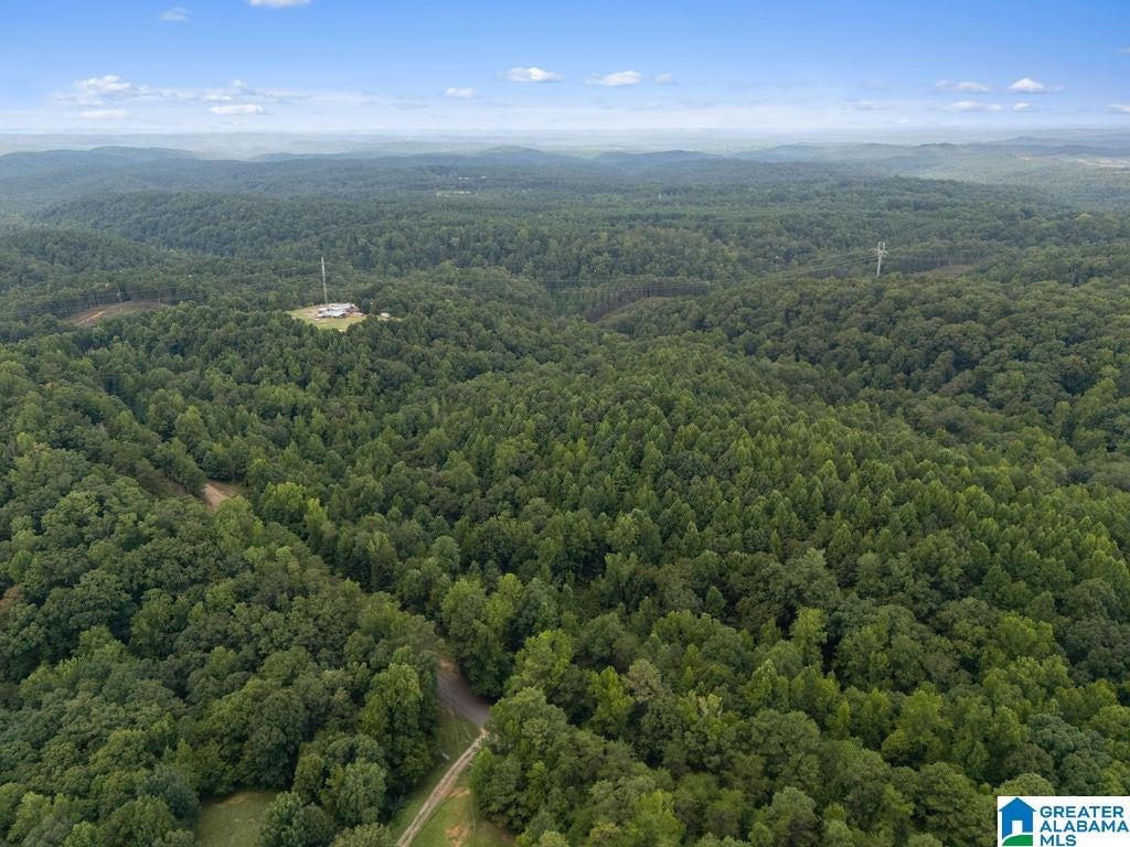 1014 PUMPKIN CENTER CUT OFF ROAD 0