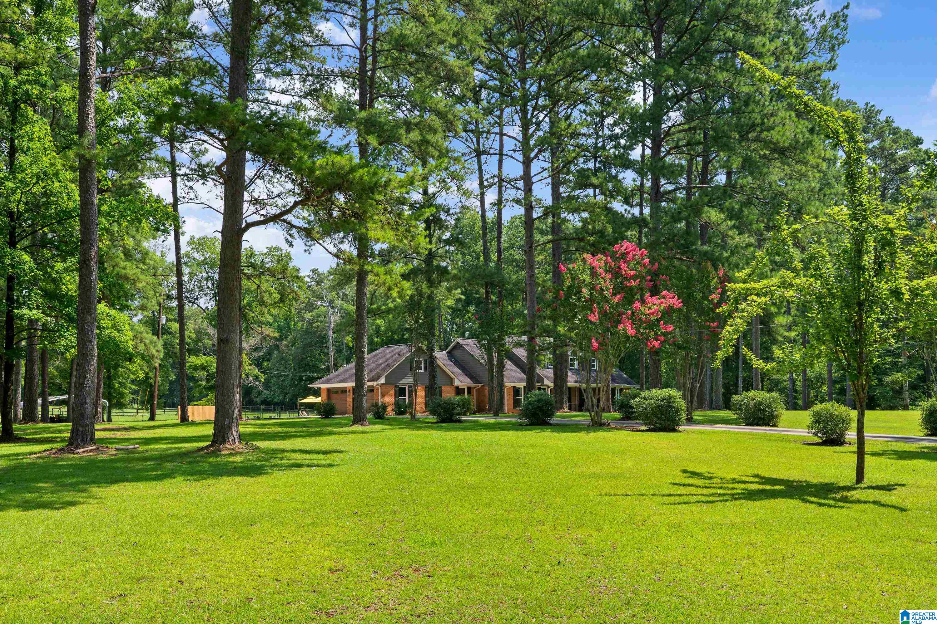 195 BUTTERCUP LANE