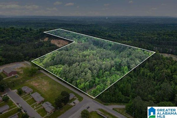 1900 KENTUCKY ST, LEEDS, AL 35094 - Image e0f5abbcaa7e6f4351e36dcd22055779/3400432728